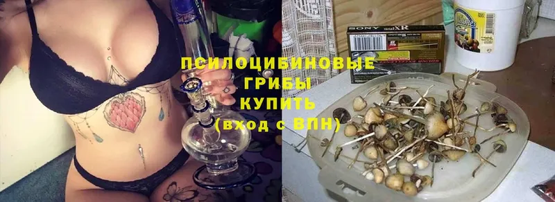 Галлюциногенные грибы GOLDEN TEACHER Благодарный